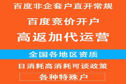 SEM推广案例：打造高效广告投放方案